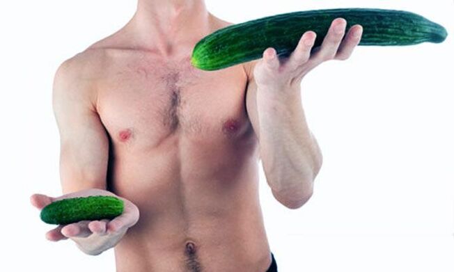 Visualisation d'un petit et grand pénis masculin.